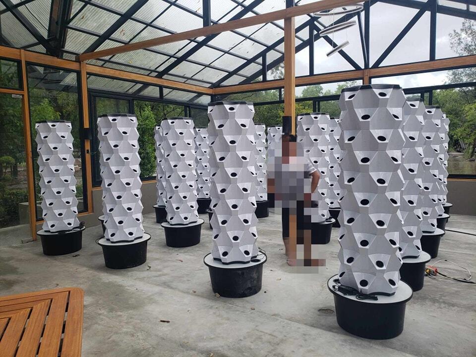 Greenhouse Vertical Farming Hy - огляд і ціна Hydroponic Tower
