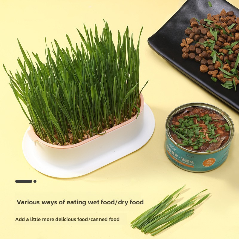 Pet Supplies Cat Snacks Cat Pl - огляд і ціна Hydroponic Grow Pod