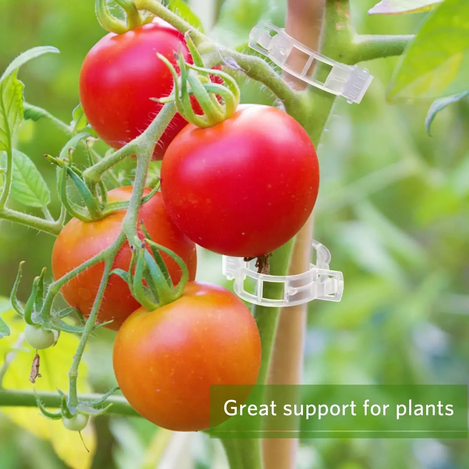 Plant Support Clips Reusable P - огляд і ціна Smart Garden Kit