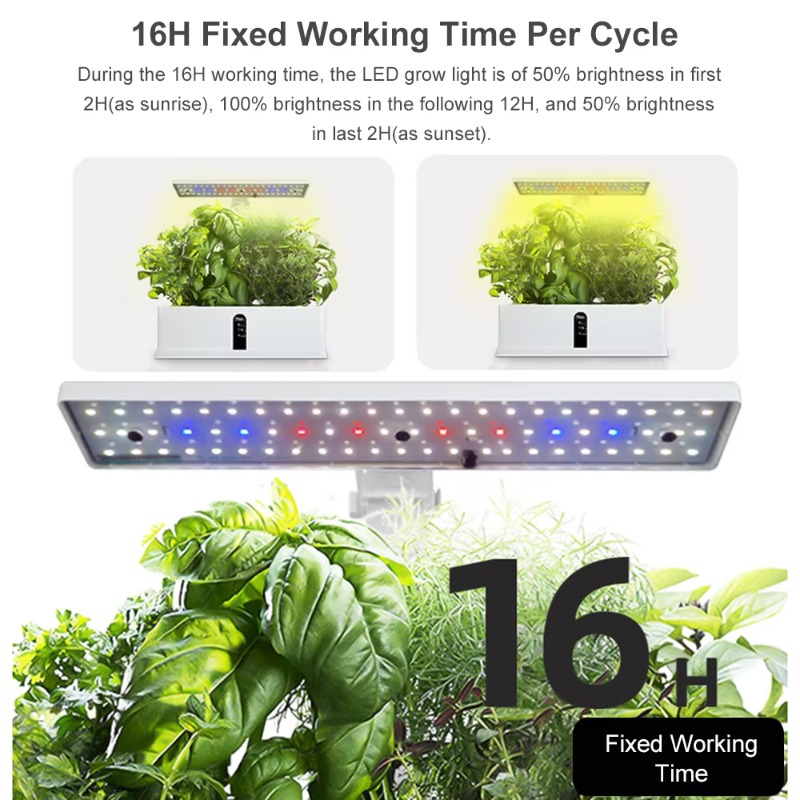 9 Pods Smart Hydroponics Growi - огляд і ціна Smart Garden Kit