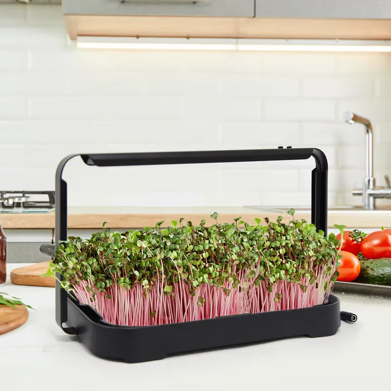 Hydroponic Tray Indoor Microgr - огляд і ціна Smart Garden Kit